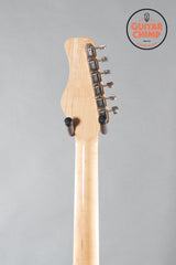 Jerry Jones Electric Sitar