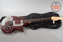 Jerry Jones Electric Sitar