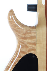 1995 Tobias Basic 5 String Bass #3279