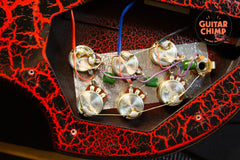 Jerry Jones Electric Sitar