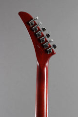 2009 Gibson Limited Edition Holy Explorer #239 of 350