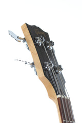 2009 Gibson USA Limited Edition Ripper II Bass Guitar #19/350