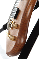 2003 Warwick Dolphin Pro 1 5 String Neck Thru