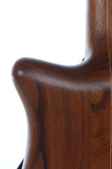 2003 Warwick Dolphin Pro 1 5 String Neck Thru