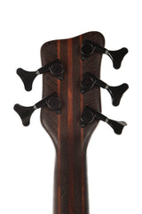 1994 Warwick Thumb Neck Thru NT-5 String Bass