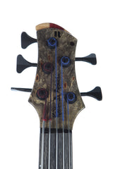 2014 Roscoe Century Custom 5 String Fretless Buckeye Burl