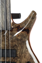 2014 Roscoe Century Custom 5 String Fretless Buckeye Burl