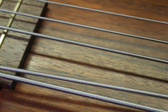 2001 Warwick Thumb Bass 5 String BO Bolt On -MADE IN GERMANY-