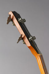 1976 Gibson Ripper Bass Guitar