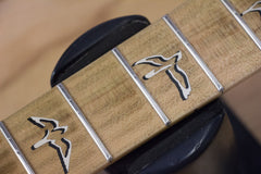 2011 PRS Paul Reed Smith 25th Anniversary Swamp Ash Special Narrowfield Smokeburst