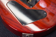 2011 PRS Paul Reed Smith 25th Anniversary Swamp Ash Special Narrowfield Smokeburst