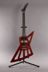 2009 Gibson Limited Edition Holy Explorer #227 of 350