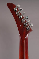 2009 Gibson Limited Edition Holy Explorer #227 of 350