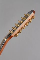 2000 Taylor K-65 All KOA 12 String Acoustic Guitar