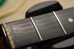 1983 Fender Elite Stratocaster Walnut