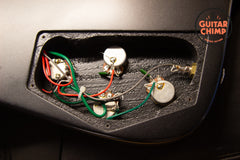 2005 Ibanez Iceman ICHRG2 Limited Edition H.R. Giger Series