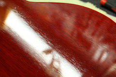 2010 Gibson Les Paul AFD Appetite For Destruction Slash Signature Electric Guitar