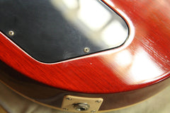 2010 Gibson Les Paul AFD Appetite For Destruction Slash Signature Electric Guitar