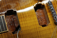 2009 Gibson Les Paul Standard Plus Honey Burst