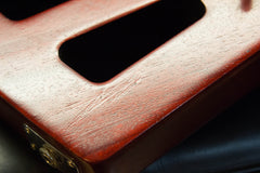 2009 Gibson Limited Edition Holy Explorer #227 of 350