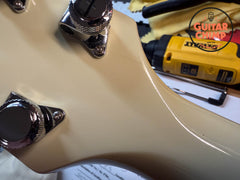 2010 Gibson Buckethead Signature Les Paul Alpine White OHSC & Paperwork