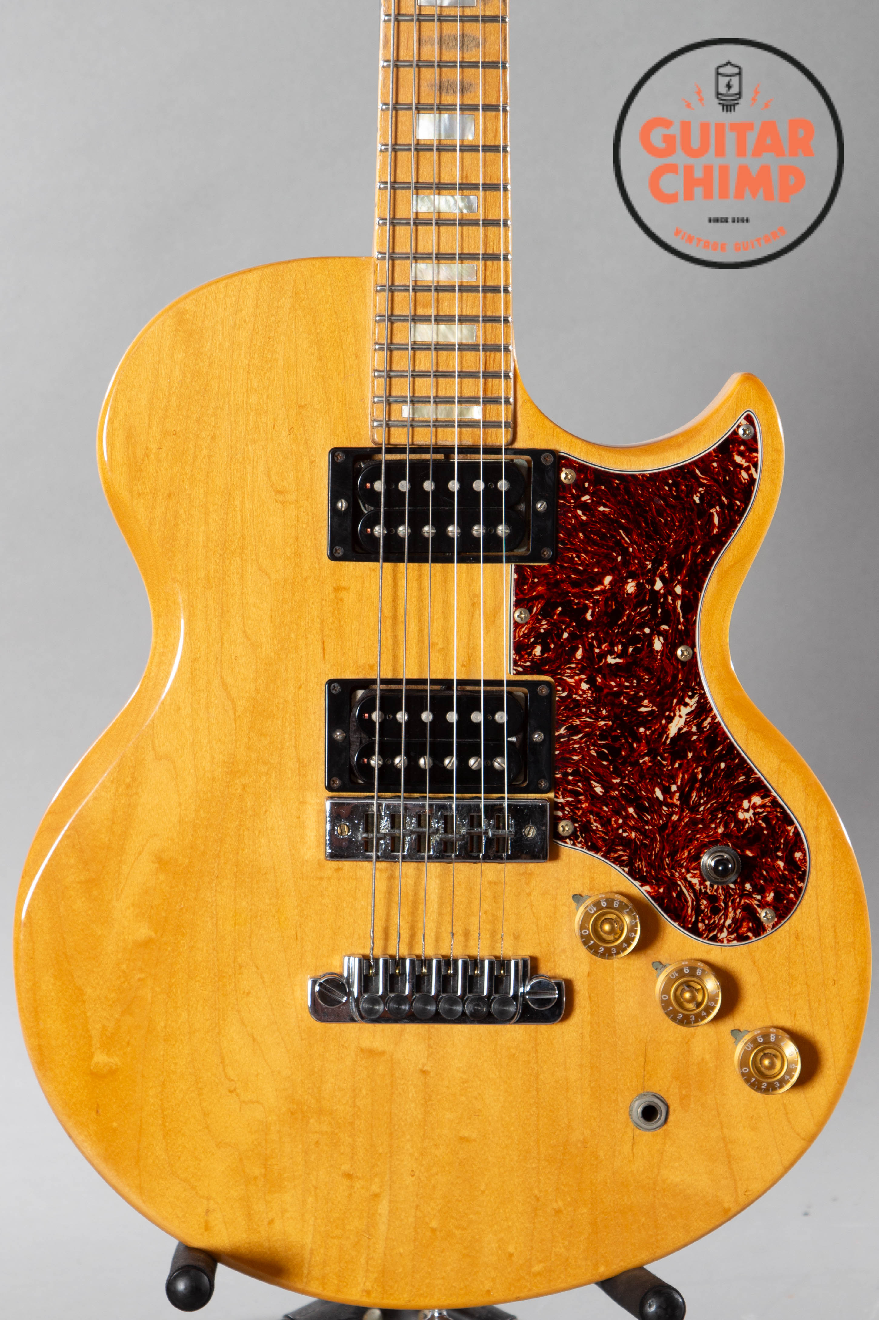 Electric Guitar Block Inlays at Diana Longoria blog