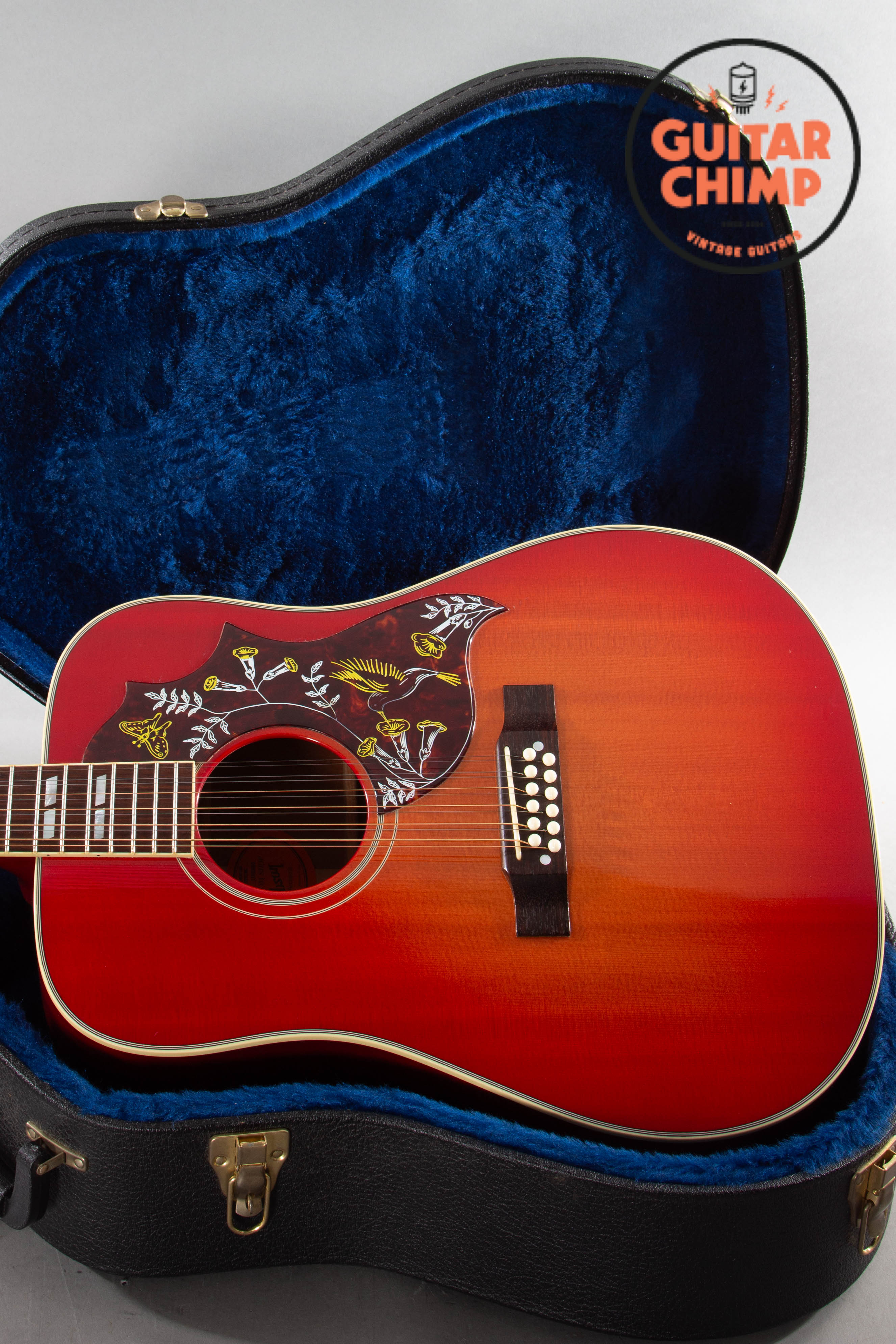 HummingBird ギター Gibson Acoustic Hummingbird 12-string LTD - 12 String