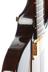 1976 Gibson Bicentennial Firebird