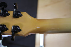 1988 Gibson ES-335 Showcase Edition