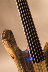 2013 Warwick Custom Shop Streamer Stage I 5-String Fretless "1" Buckeye Burl Top ~Blue LEDs~