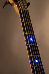 2014 Warwick Custom Shop Streamer Stage I 5-String Walnut Burl Top ~Blue LEDs~