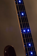 2014 Warwick Custom Shop Streamer Stage I 5-String Walnut Burl Top ~Blue LEDs~