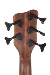 2001 Warwick Thumb Neck Thru NT-5 String Bass