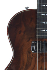 2008 Taylor Solidbody Custom SBC1 Walnut Electric Guitar