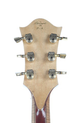 Phiga Guitars "Jerry Garcia" Tiger Tribute Electric Guitar -RARE-