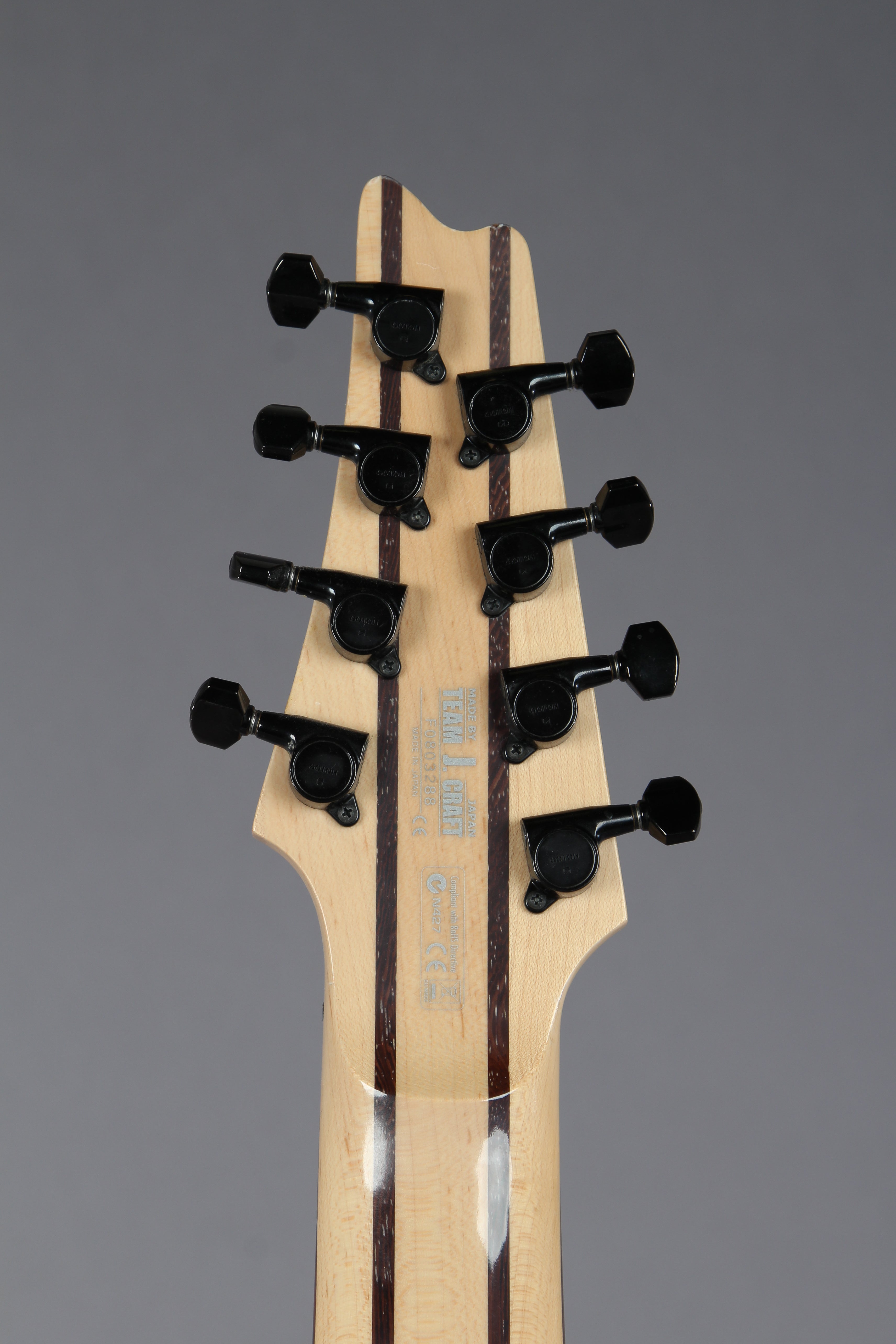 2008 Ibanez Prestige RG2228 8 String Electric Guitar Guitar Chimp