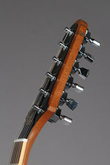 2007 Gibson Firebird V with Flammed Maple Wings