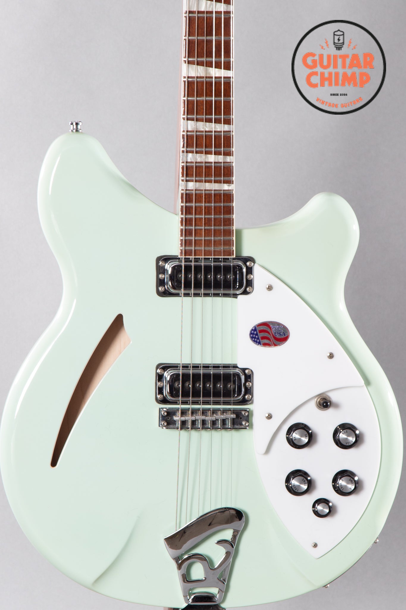 2014 Rickenbacker 360 Blue Boy