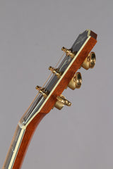 2011 Gibson Custom Shop Hummingbird Birds In Flight Custom KOA Acoustic Electric