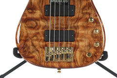 2004 Modulus Quantum Q 5 String Bass Chechen Top