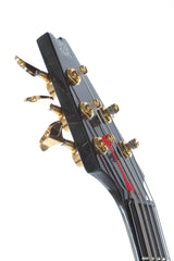 2004 Modulus Quantum Q 5 String Bass Chechen Top
