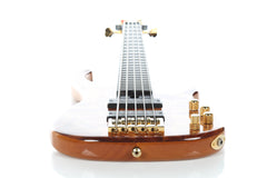 2004 Modulus Quantum Q 5 String Bass Chechen Top