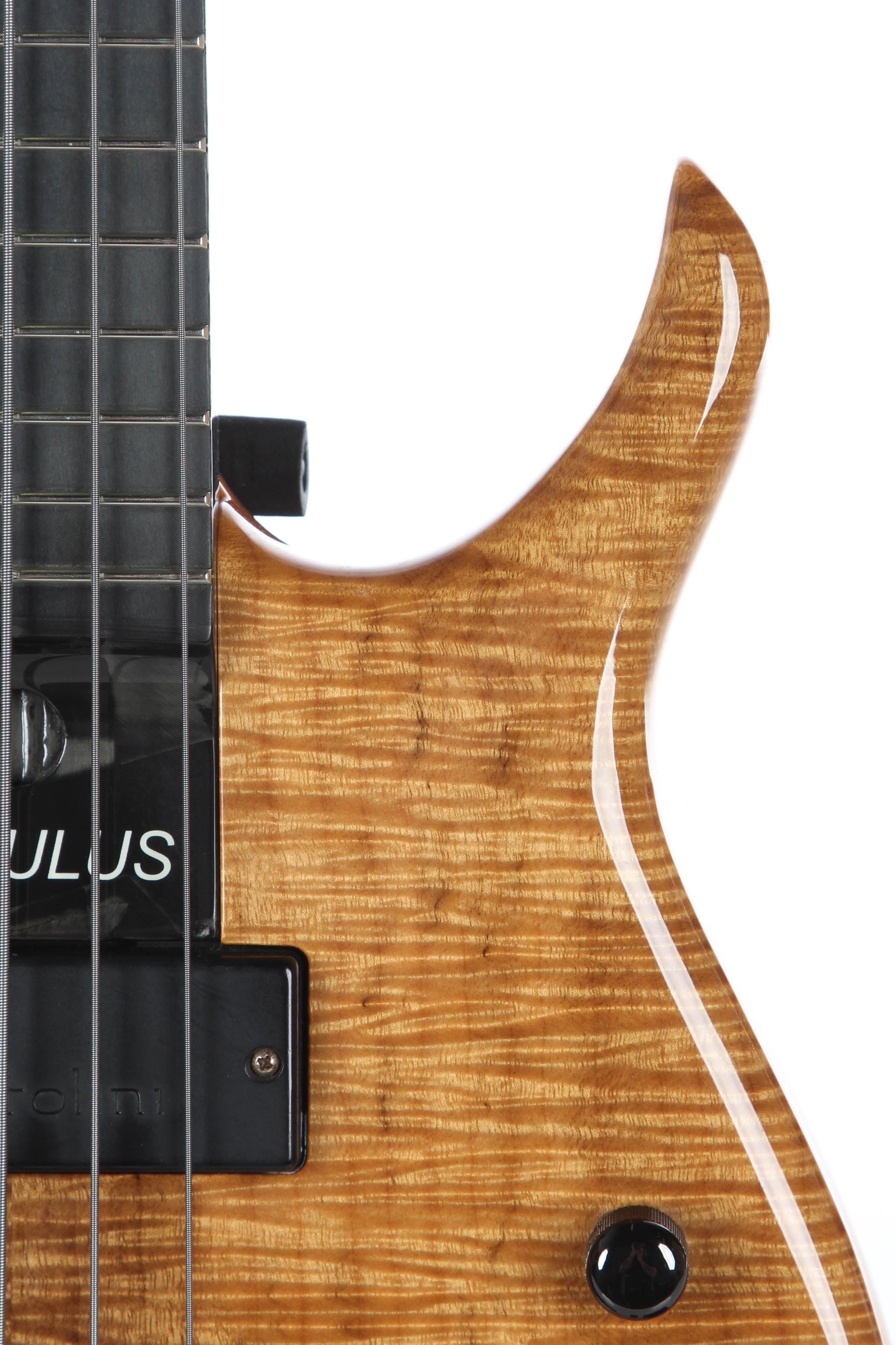 2007 Modulus Quantum Q5 5 String Bass -KOA TOP- | Guitar Chimp