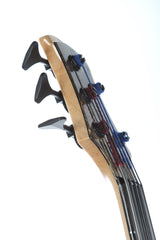 2014 Roscoe Century Custom 5 String Fretless Buckeye Burl