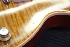 2010 Gibson Les Paul AFD Appetite For Destruction Slash Signature Electric Guitar